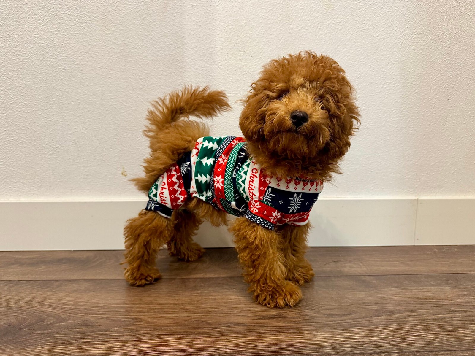 Pulsa para ver la imagen en grande