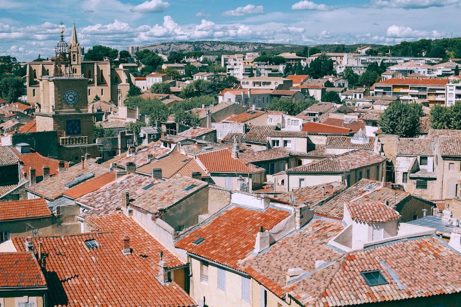 Cómo desechar residuos en Zaragoza: normativas y recursos
