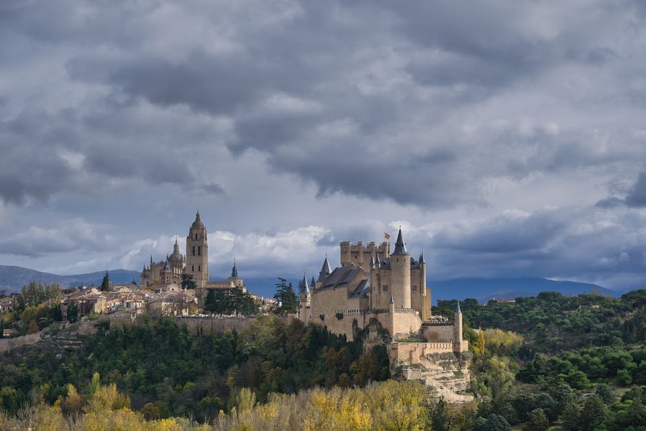 Limpieza y medio ambiente en Zaragoza: servicios y recursos
