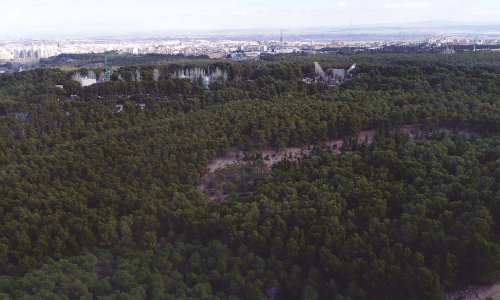 Pulsa para ver la imagen en grande