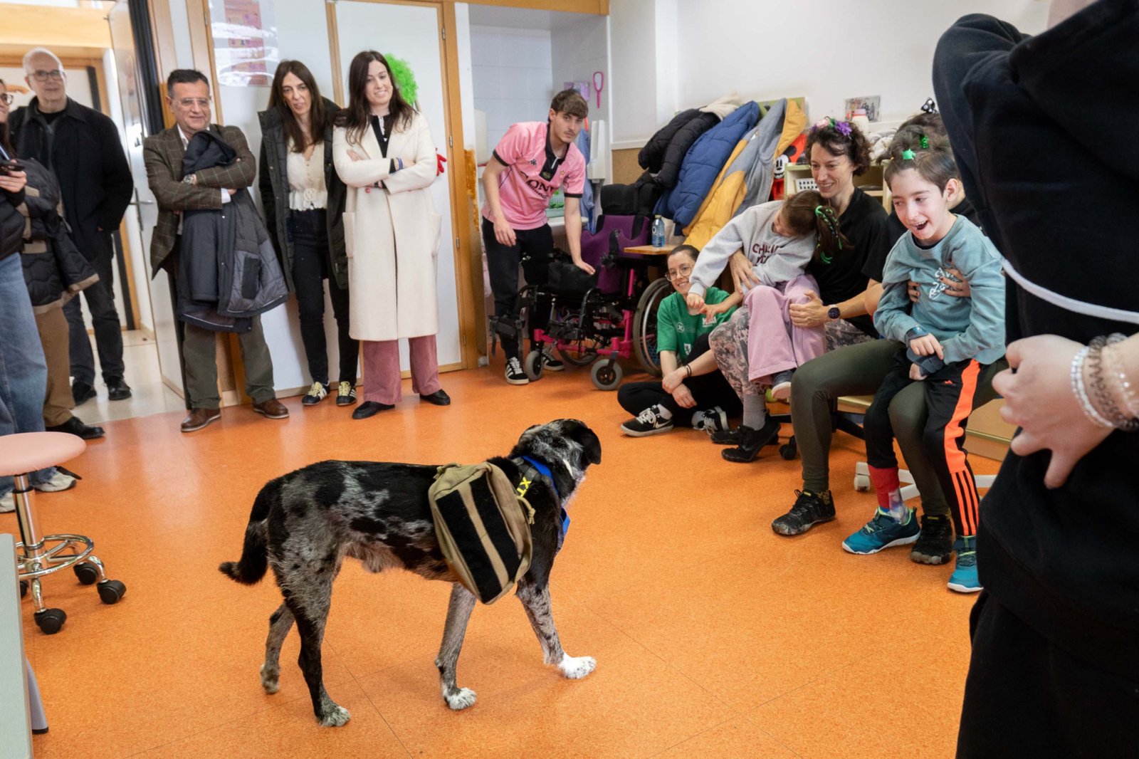 Pulsa para ver la imagen en grande